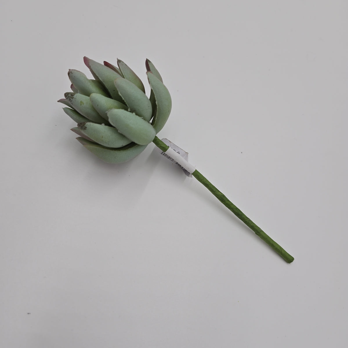 6.5&quot;SENECIO--CS5765