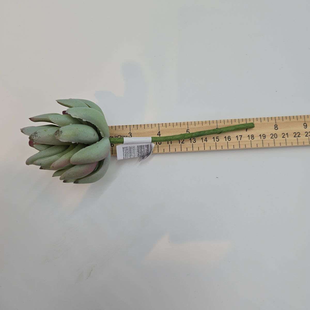 6.5&quot;SENECIO--CS5765