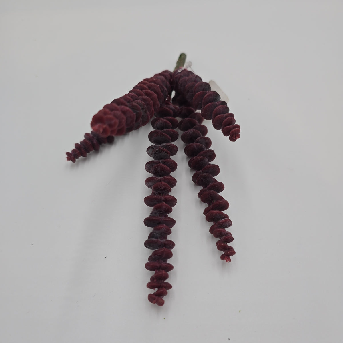 10&quot; Donkey Tail--#ckd882