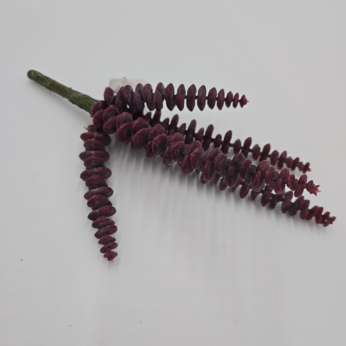10&quot; Donkey Tail--#ckd882