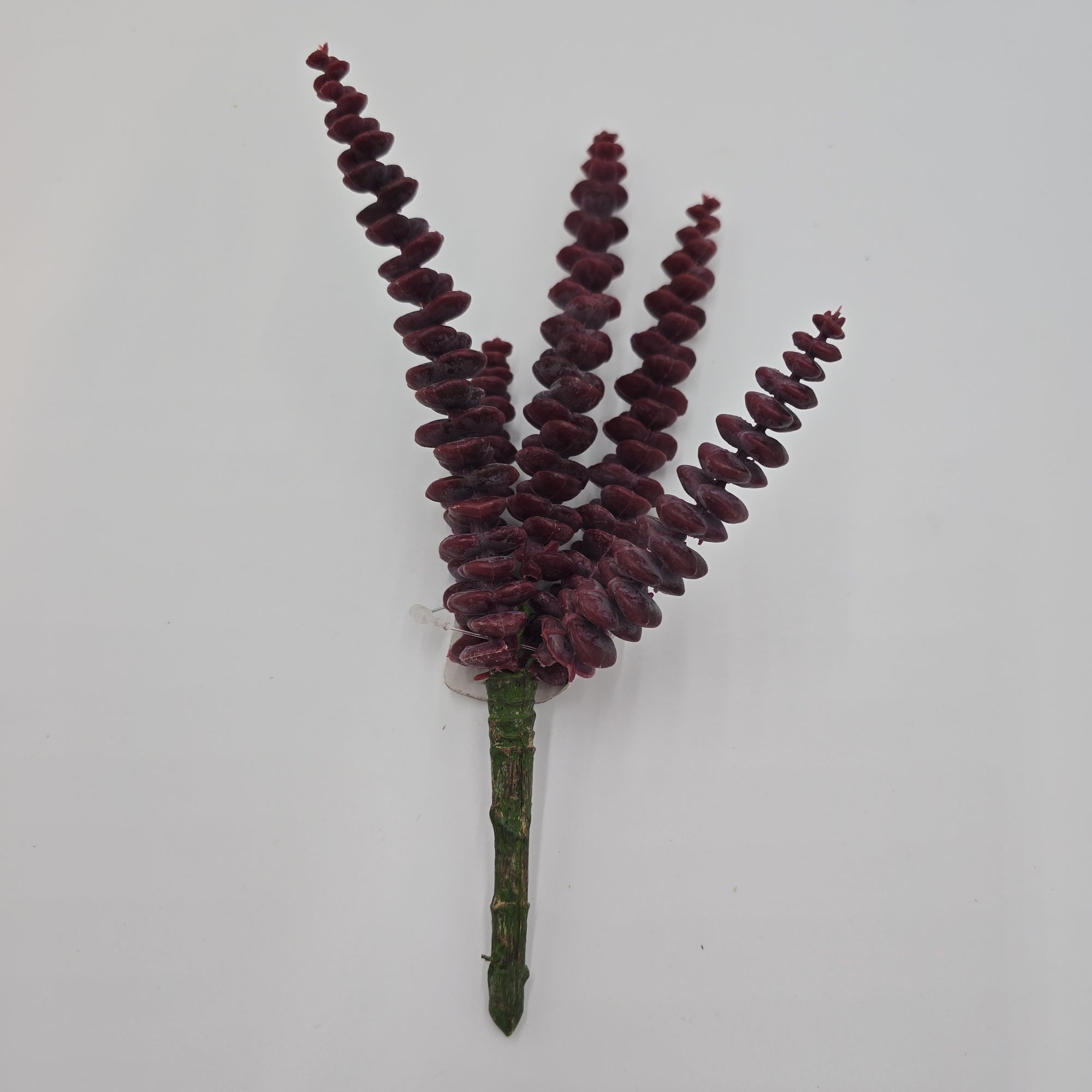 10" Donkey Tail--#ckd882