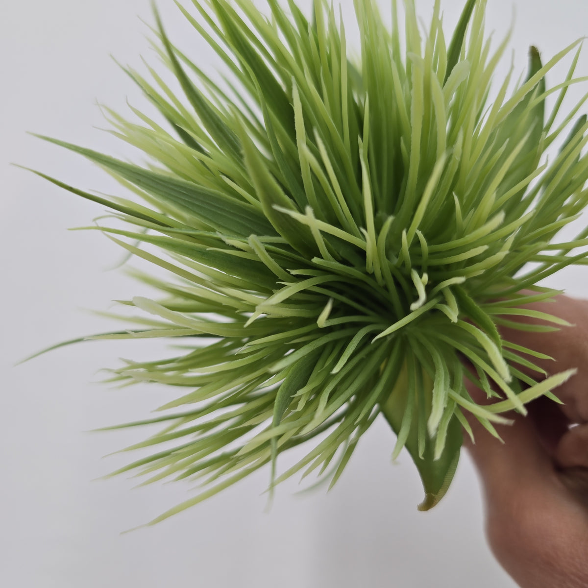 Grass Mound Pick--pkg256-gr/fs