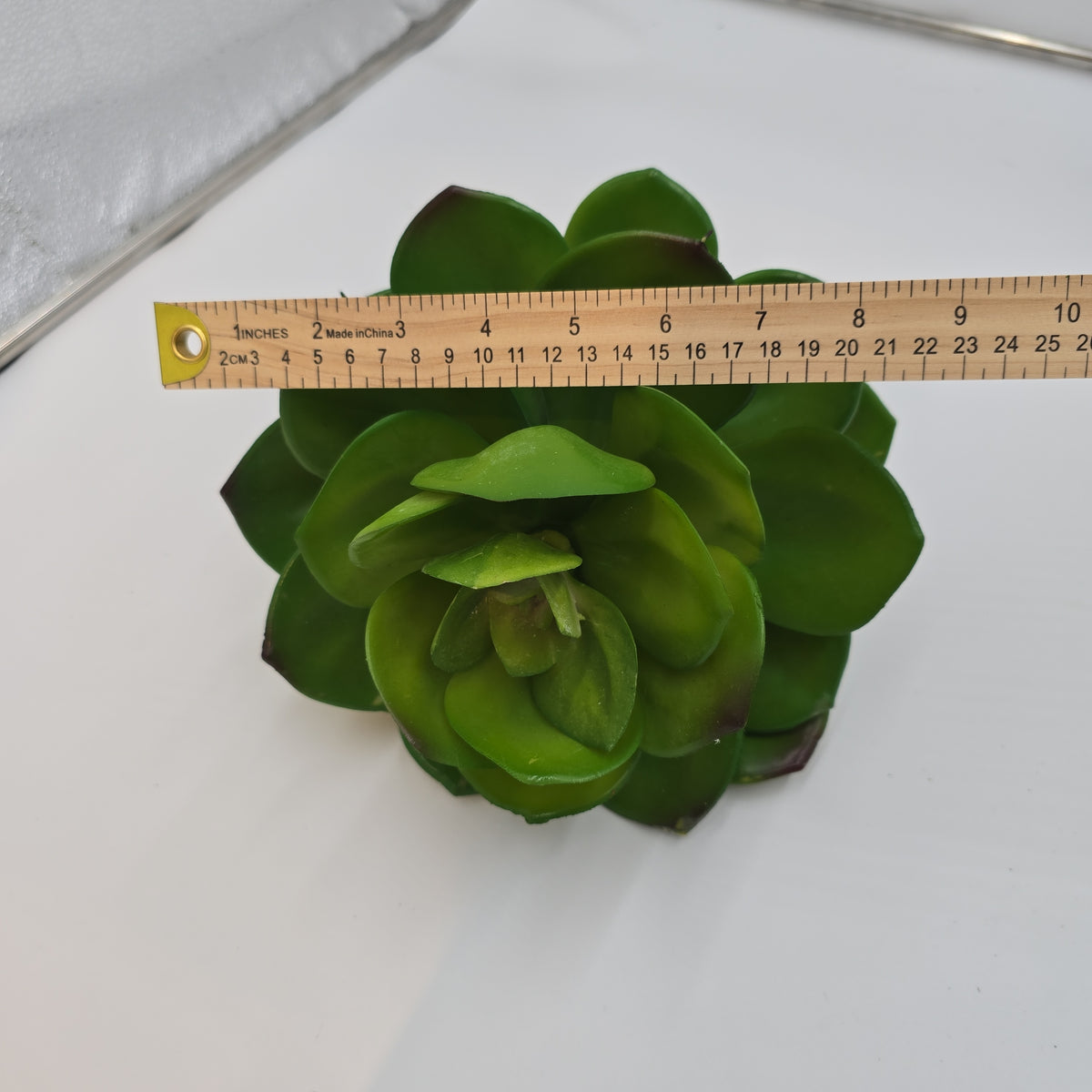 Giant Echeveria-#ce0132-gr