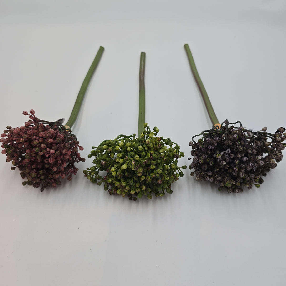 12&quot; Allium stem/Buds--#fsa662