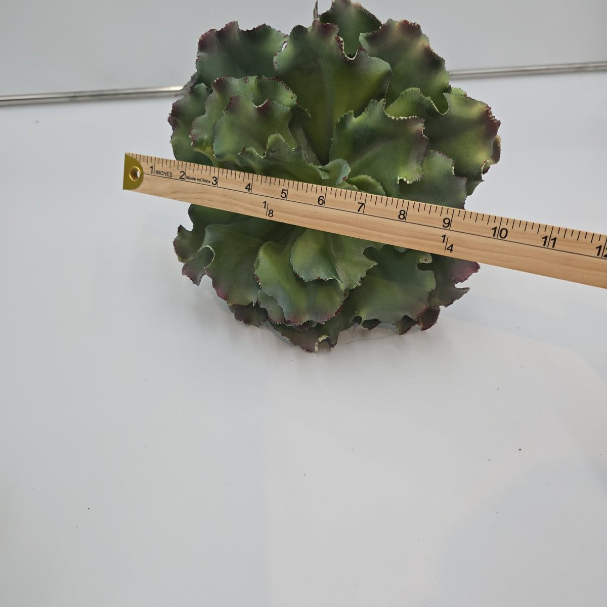 14&quot; Ruffled Echeveria-#ce1132