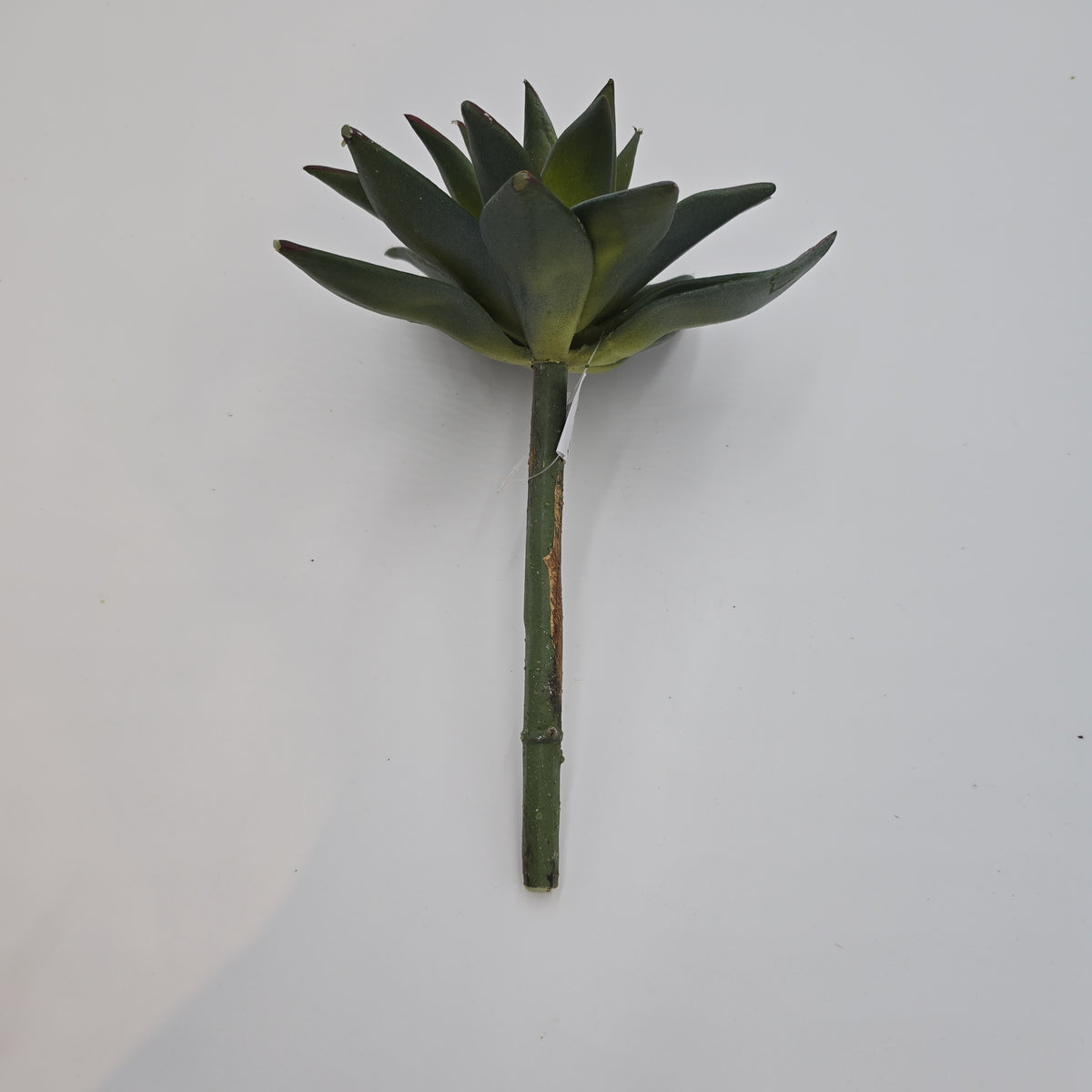 9&quot;D ECHEVERIA--CE3197-GR/GY