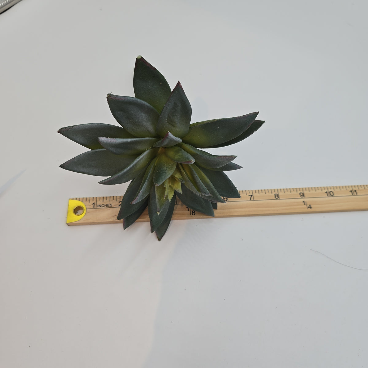 9&quot;D ECHEVERIA--CE3197-GR/GY