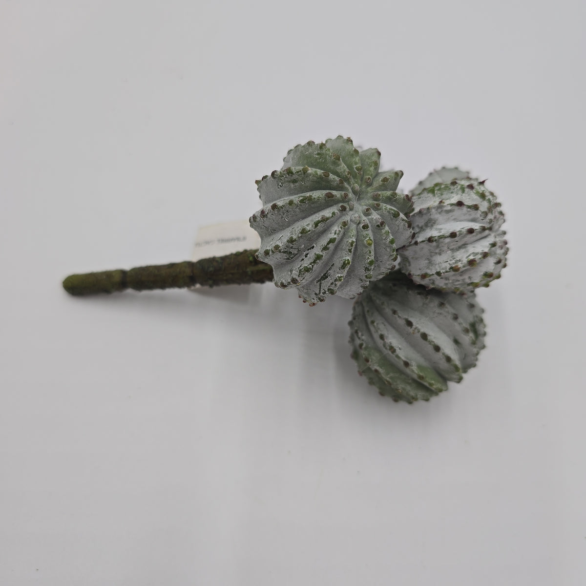 8" Barrel Cactus--cc2151-gr/gy