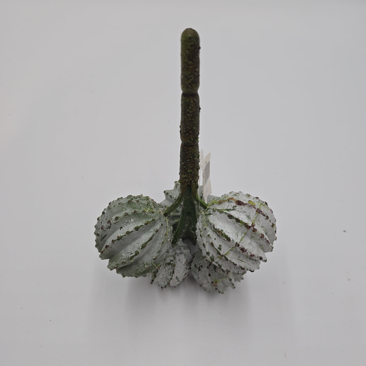8" Barrel Cactus--cc2151-gr/gy