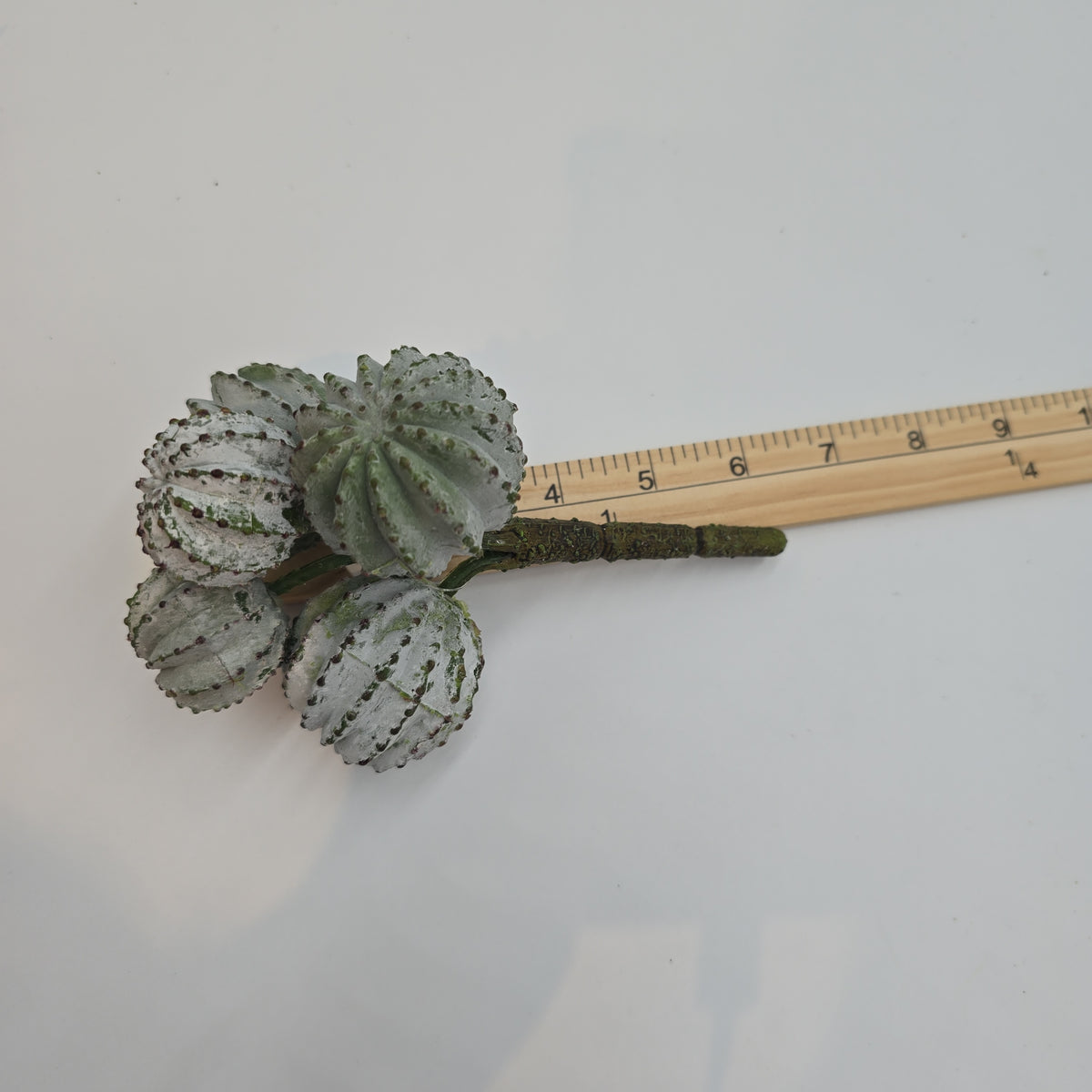 8" Barrel Cactus--cc2151-gr/gy