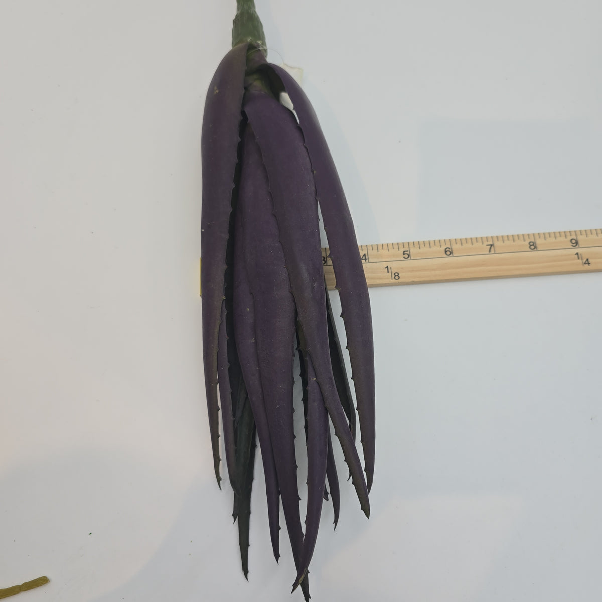 17&quot; Agave--#ca9514