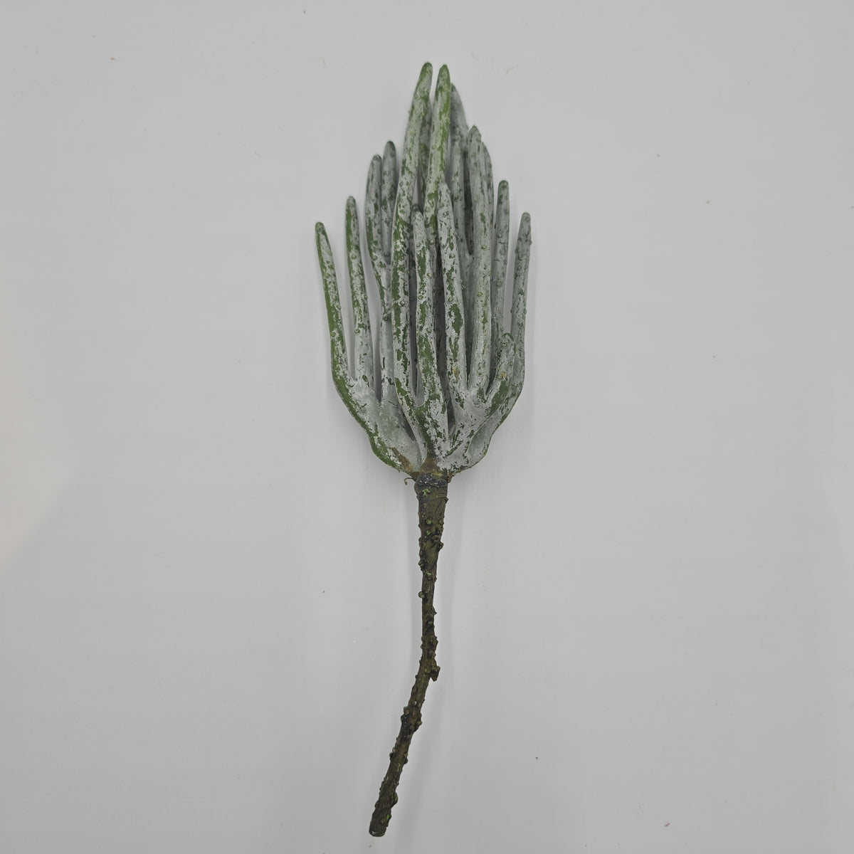 10&quot; Stick Cactus cc1824-gr/gy