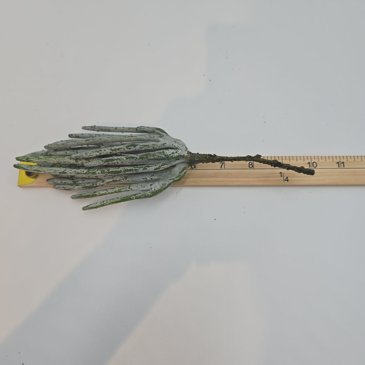 10&quot; Stick Cactus cc1824-gr/gy