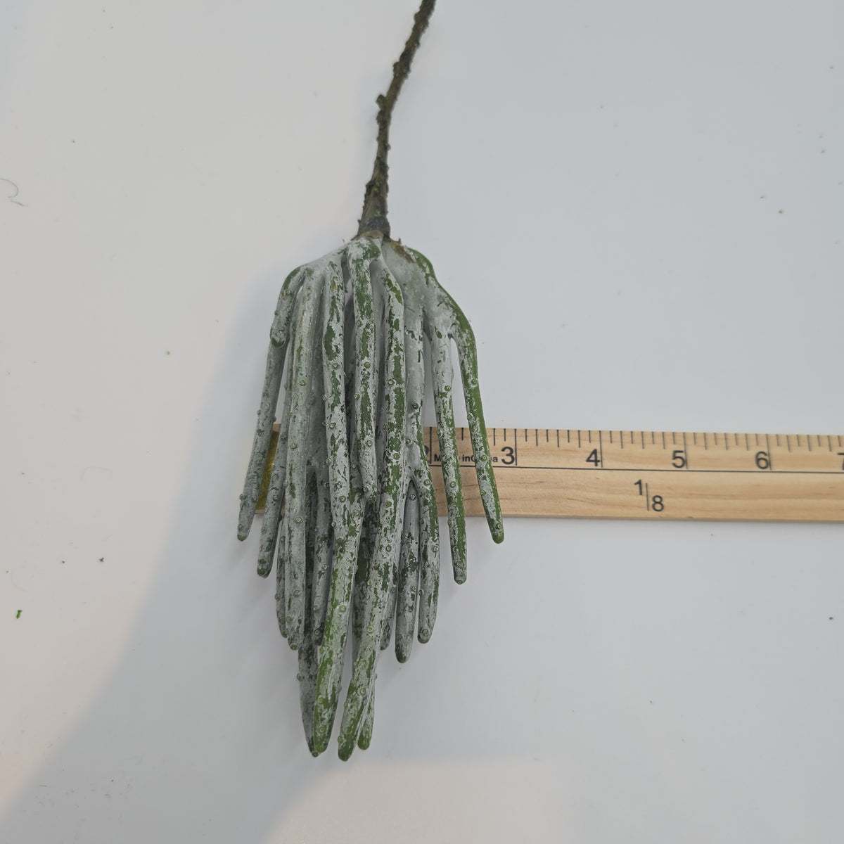 10&quot; Stick Cactus cc1824-gr/gy