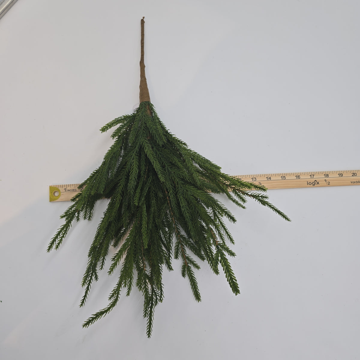 20&quot; Cypress Spry--#ysc110