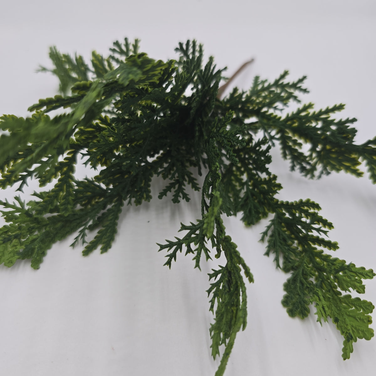 10&quot; Cedar Pick--#ykc045-gr