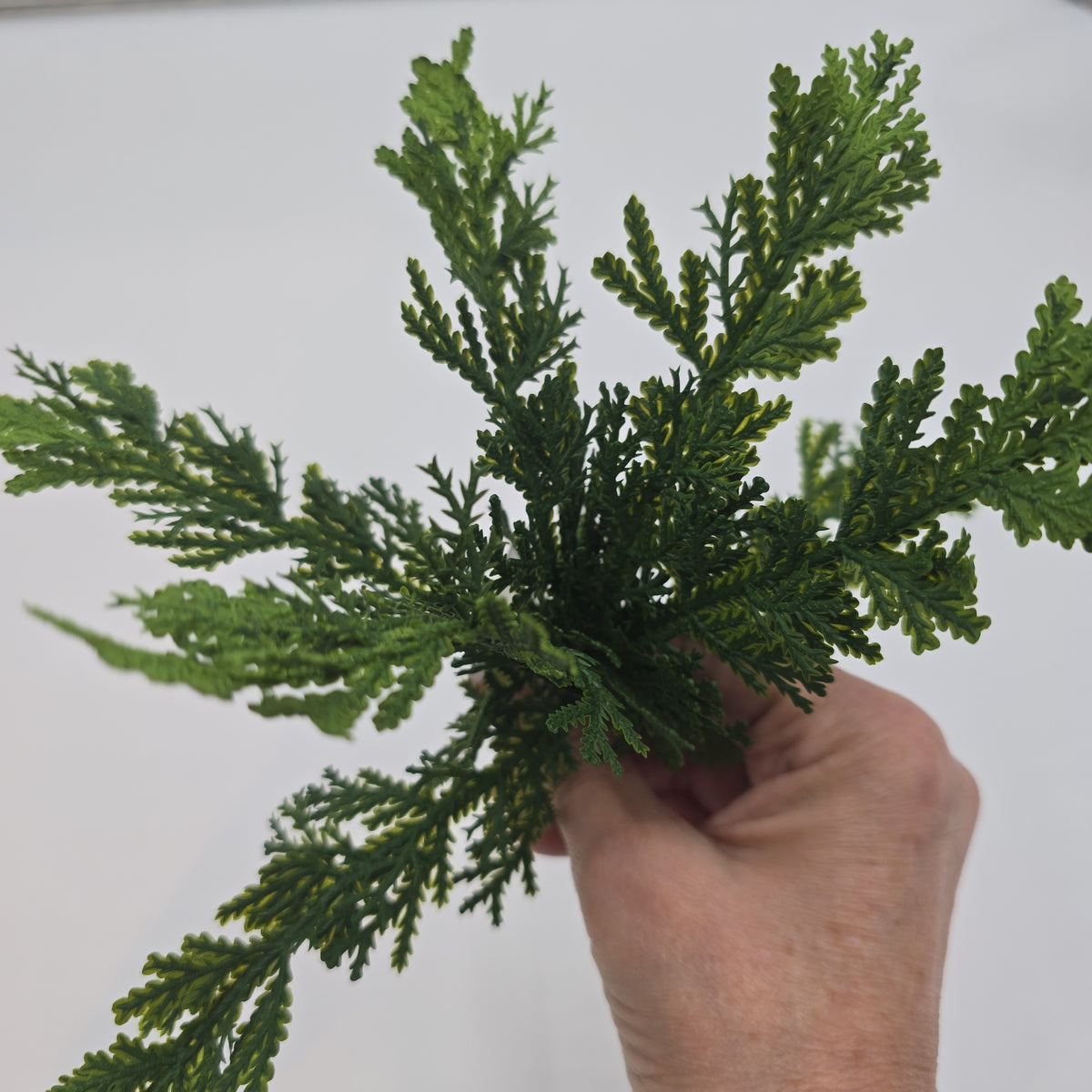 10&quot; Cedar Pick--#ykc045-gr