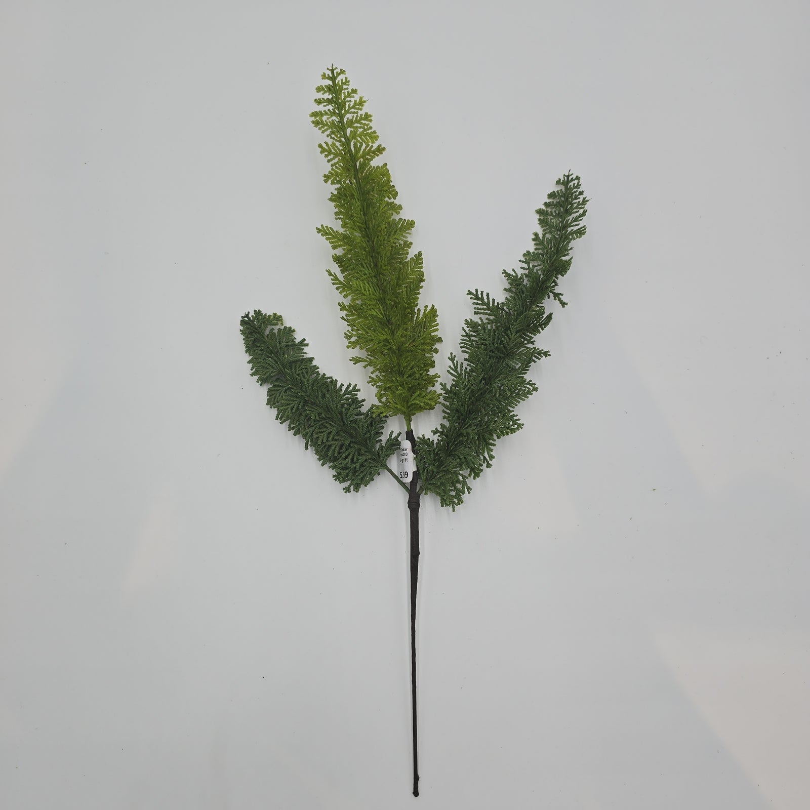 17.5" Soft Cedar Spry-#ysc203