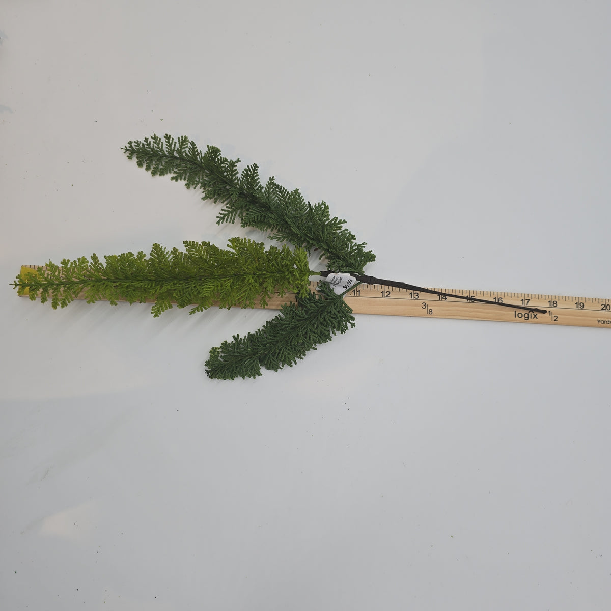 17.5&quot; Soft Cedar Spry-#ysc203