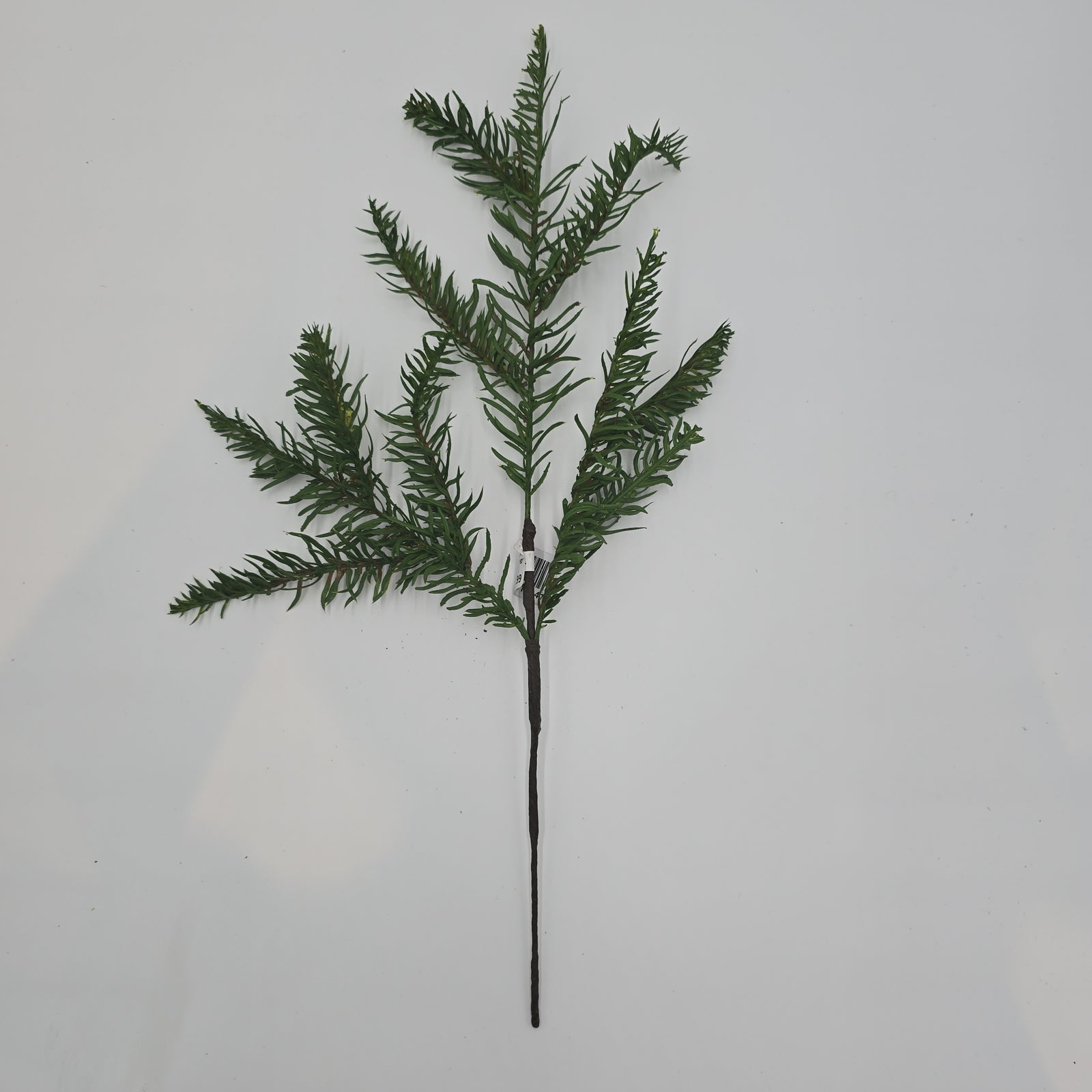 19" Noble Spry-#ysp042