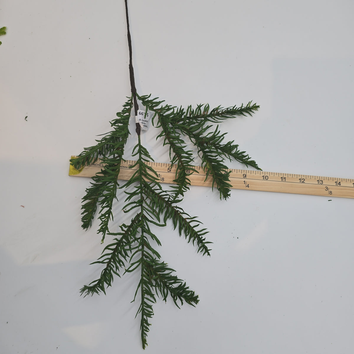 19&quot; Noble Spry-#ysp042