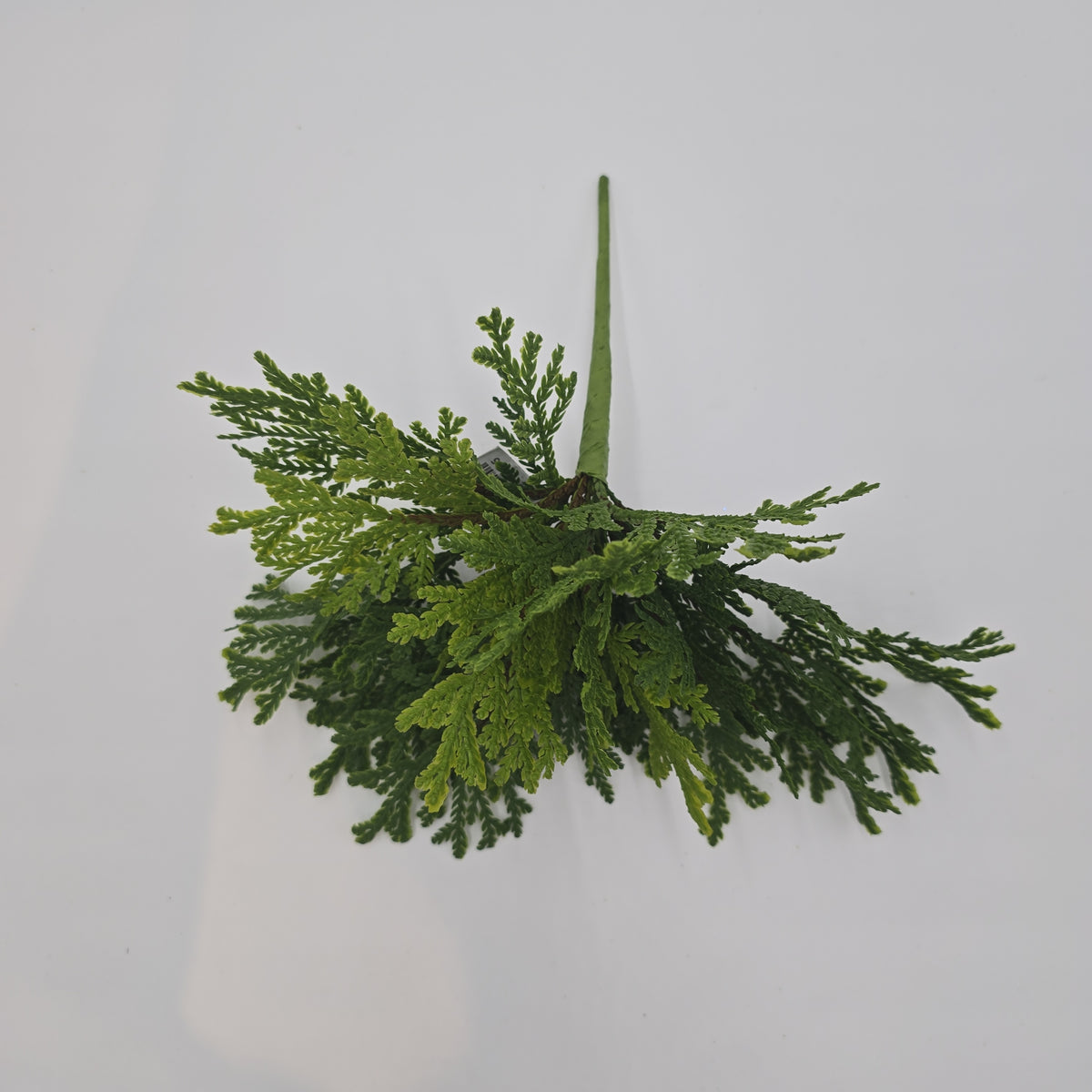 12&quot; Cedar Bush--#yzc712