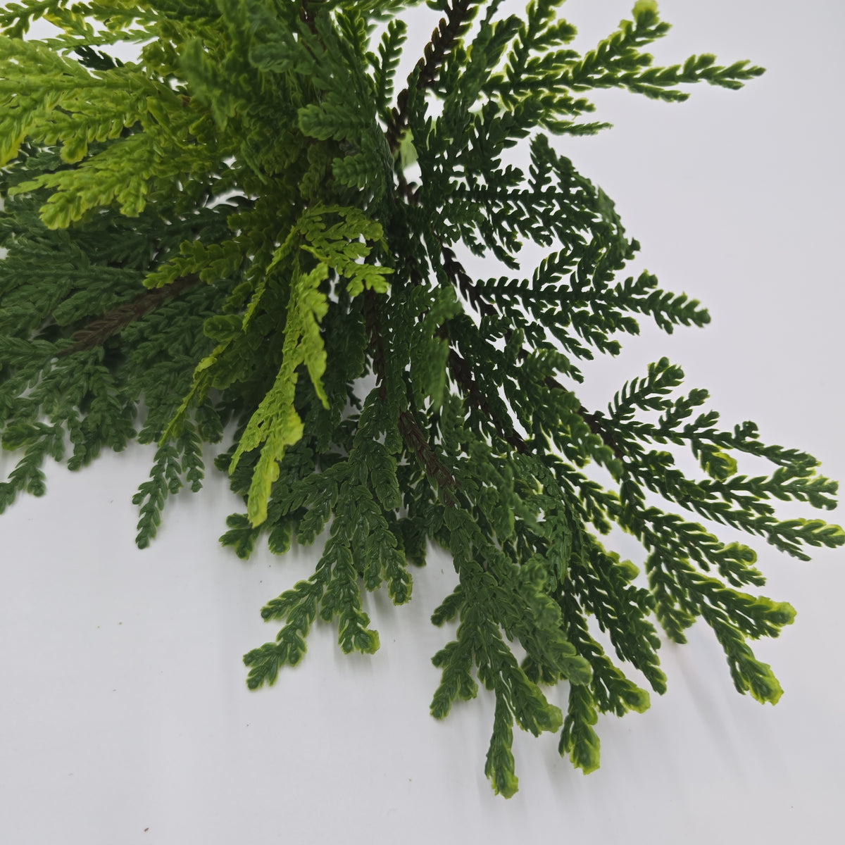 12&quot; Cedar Bush--#yzc712