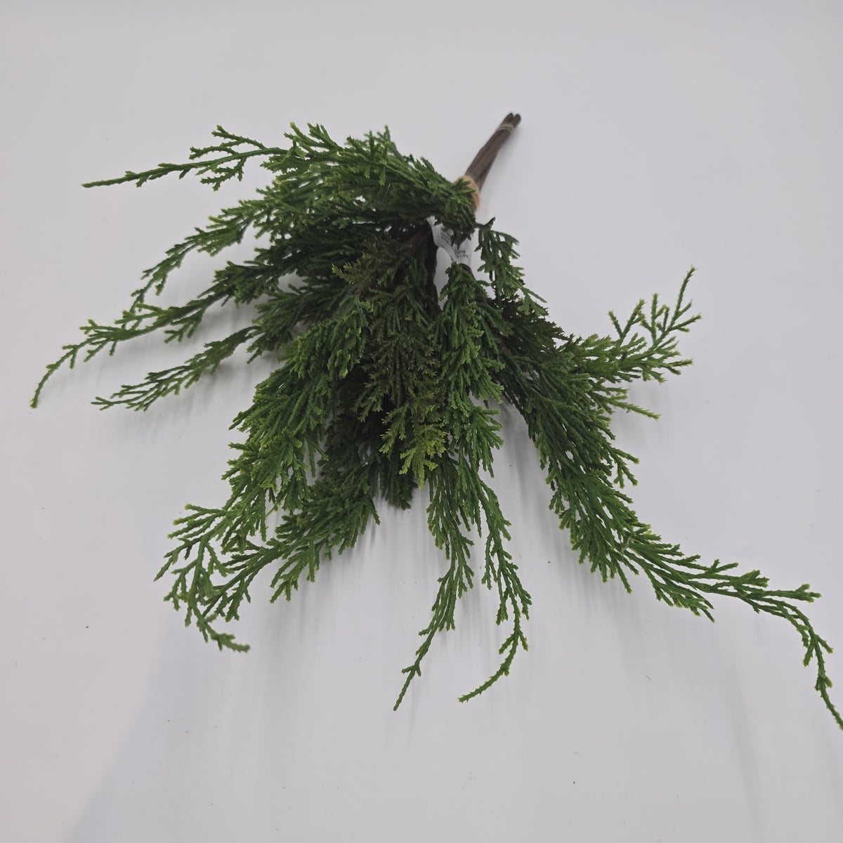 16&quot; Cypress Pick Bundle