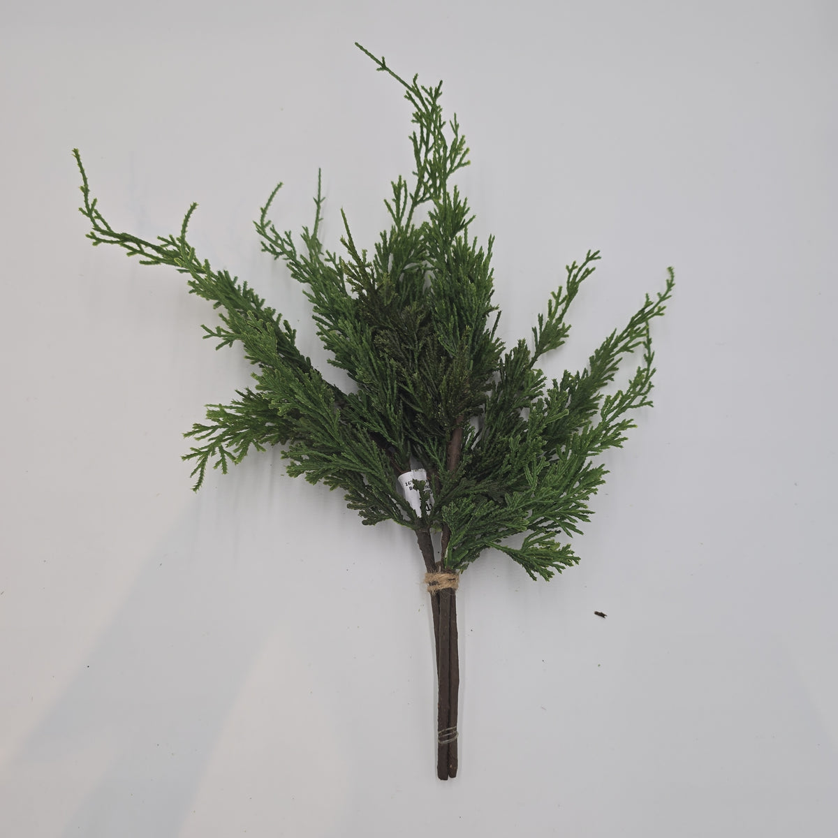 16&quot; Cypress Pick Bundle