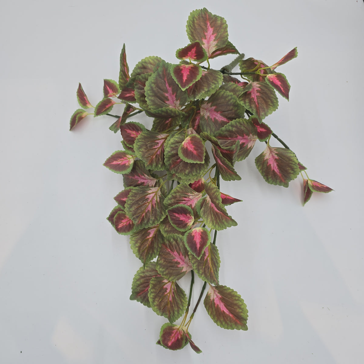 20&quot; Perilla-pbb148-mv/gr