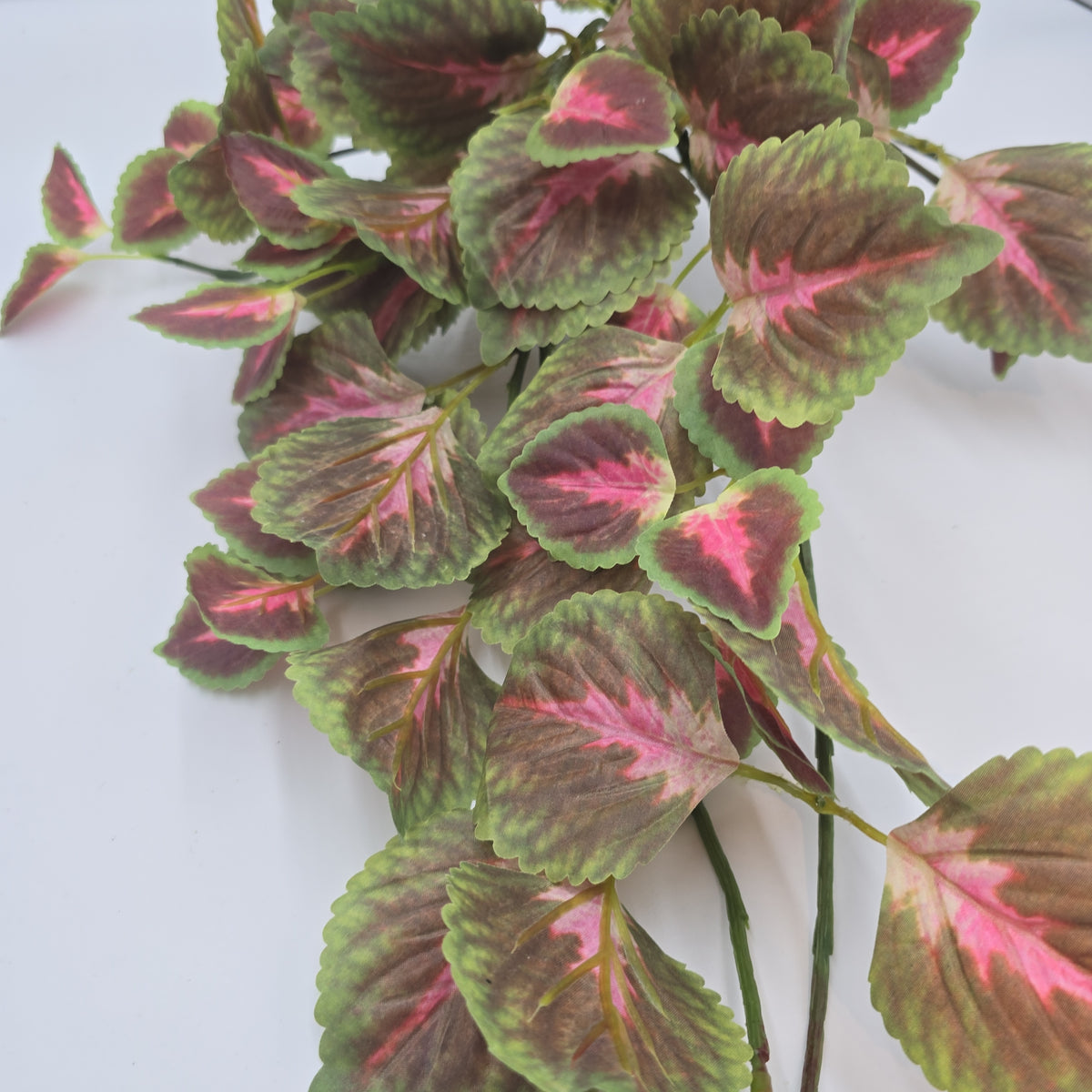 20&quot; Perilla-pbb148-mv/gr