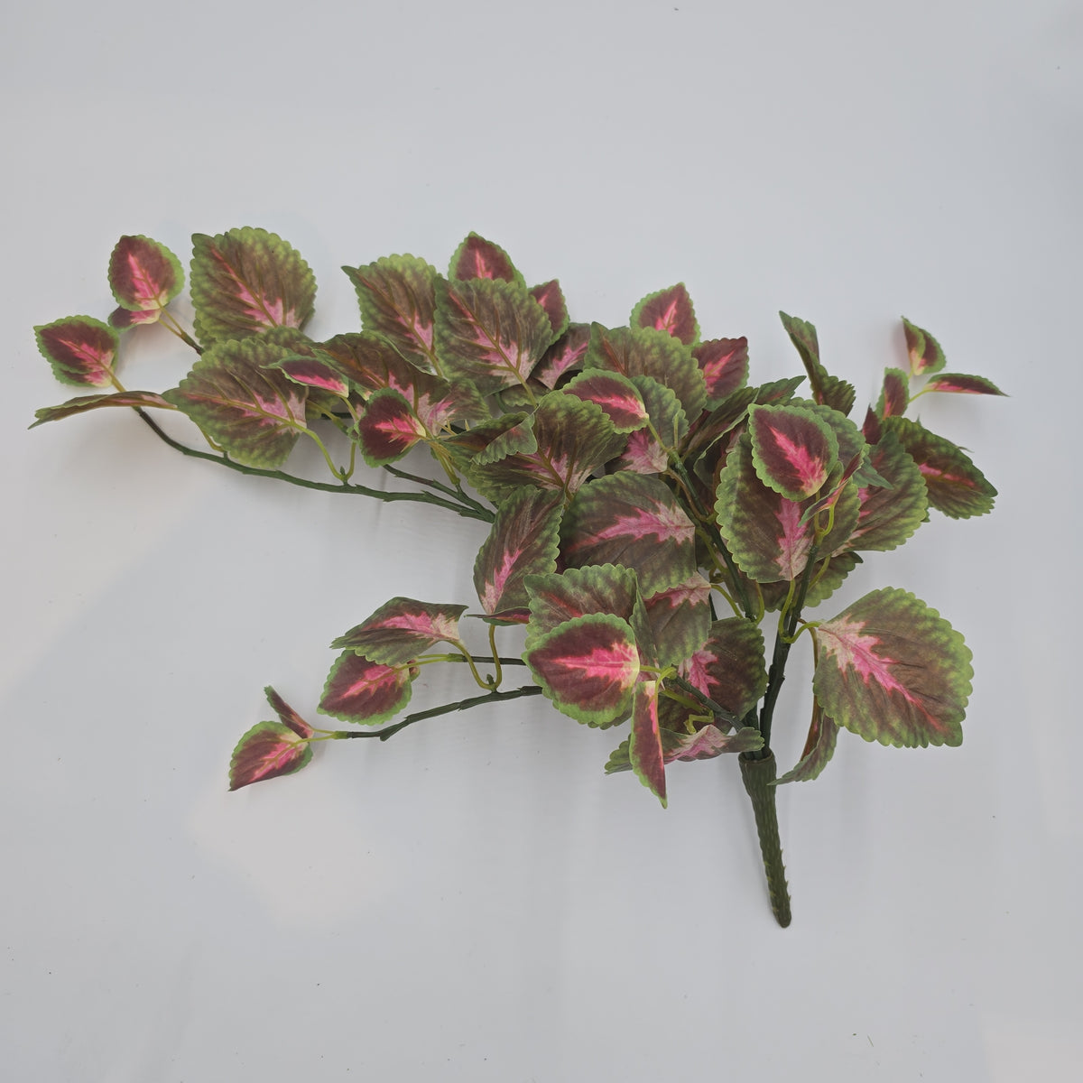 20&quot; Perilla-pbb148-mv/gr