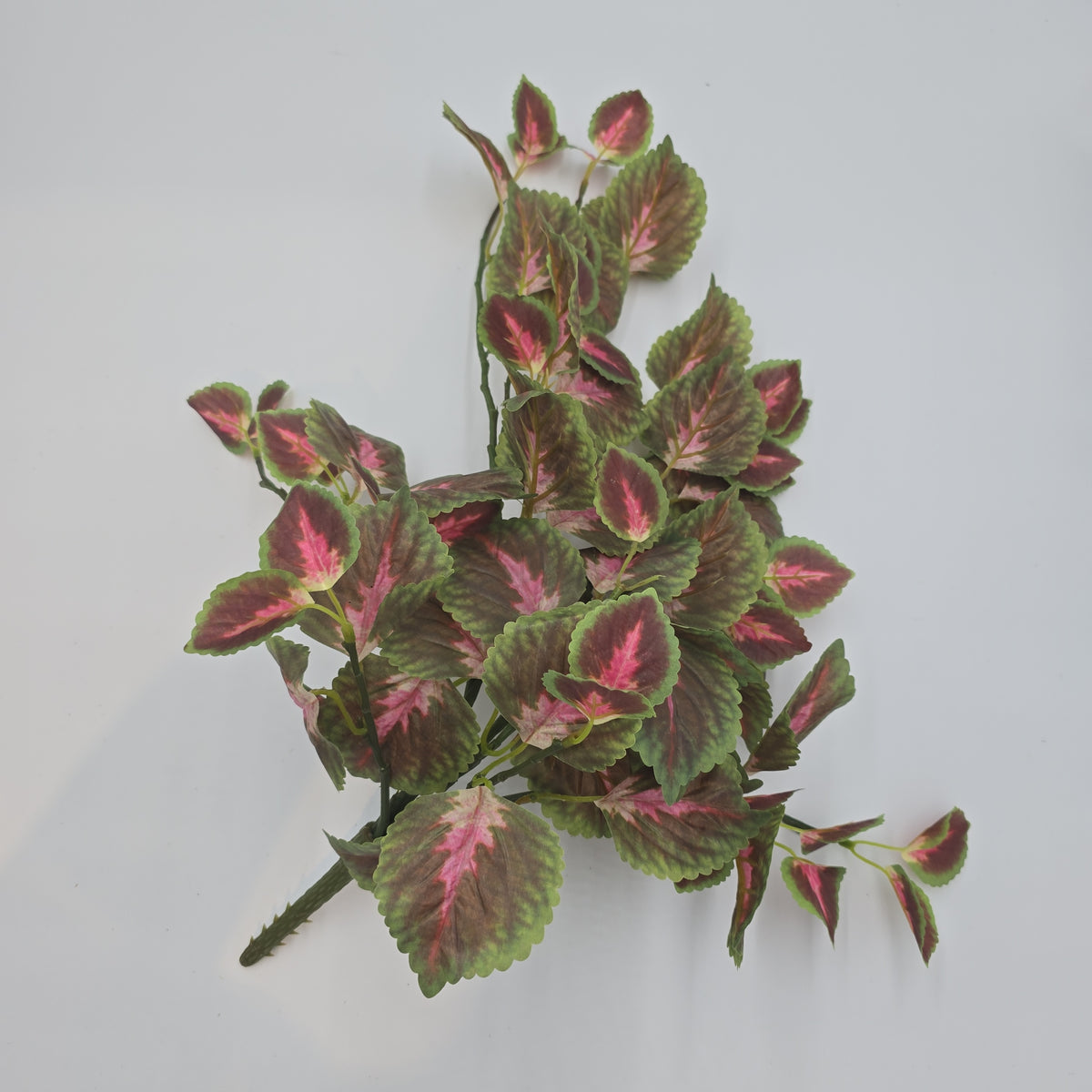 20&quot; Perilla-pbb148-mv/gr