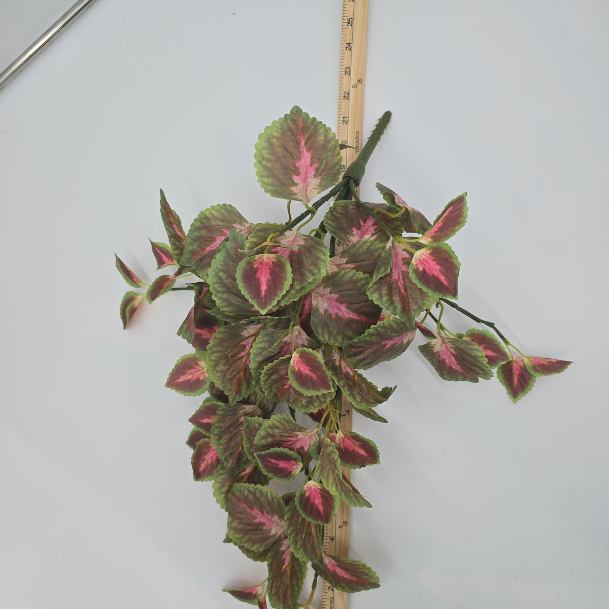 20&quot; Perilla-pbb148-mv/gr