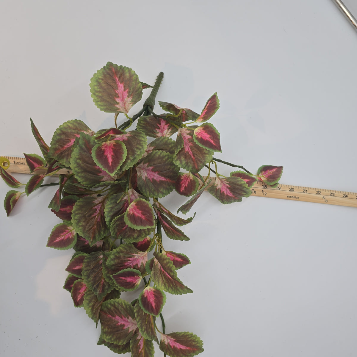 20&quot; Perilla-pbb148-mv/gr