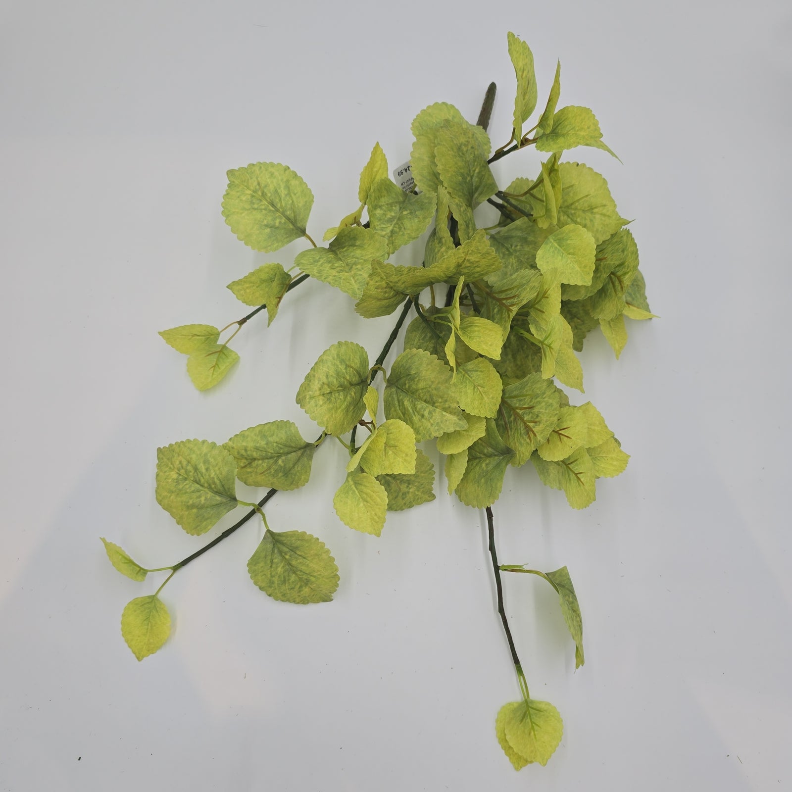 20" Perilla-pbb148-lm