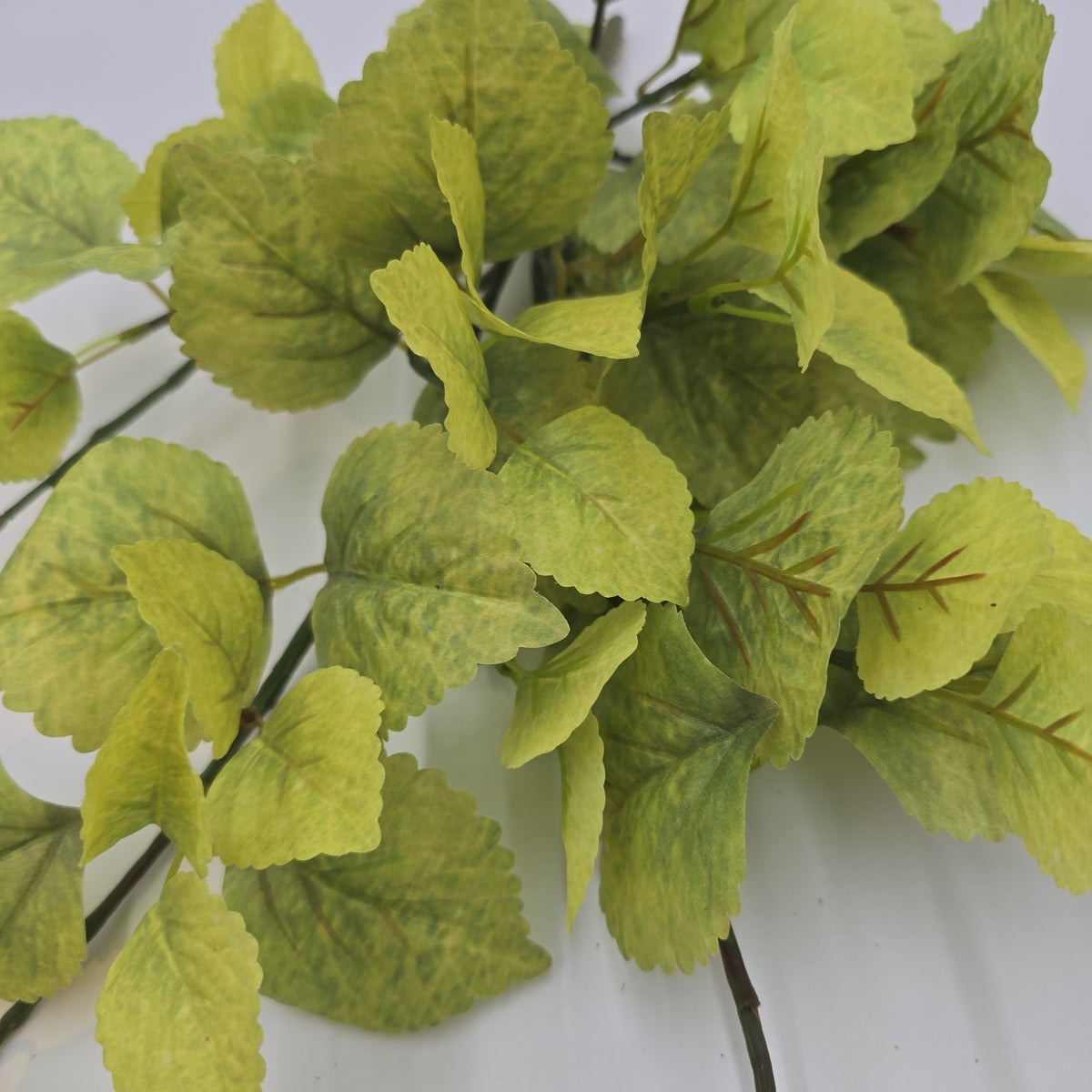 20&quot; Perilla-pbb148-lm