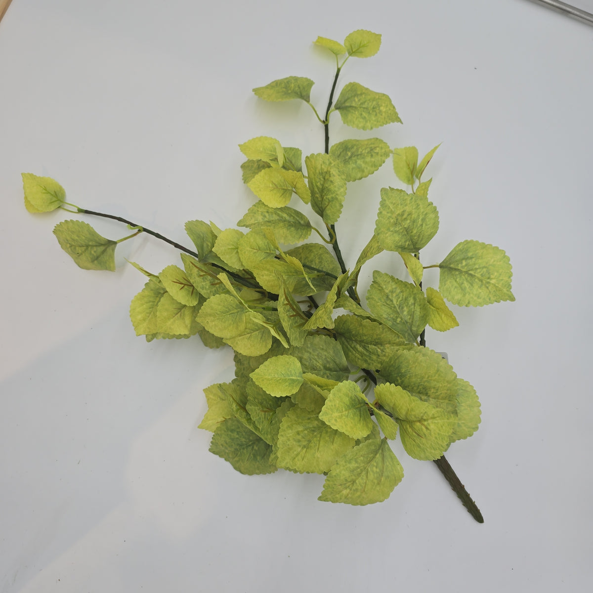 20&quot; Perilla-pbb148-lm