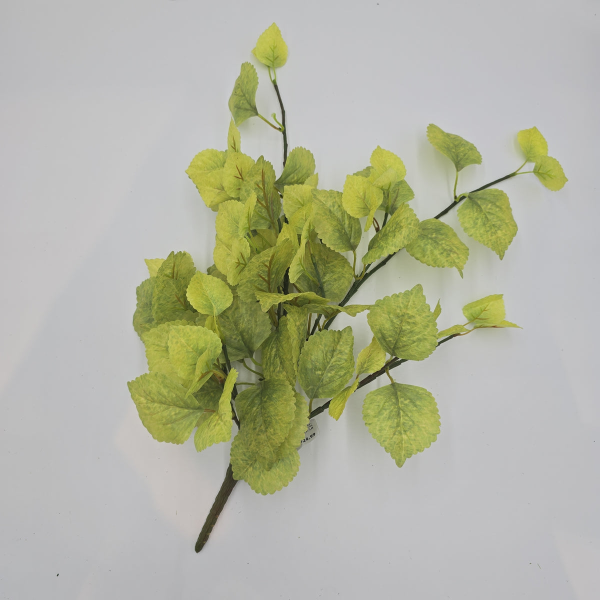 20&quot; Perilla-pbb148-lm