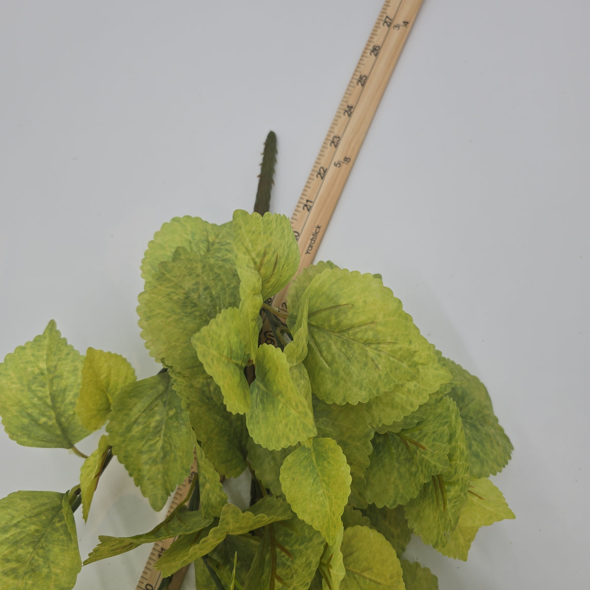 20&quot; Perilla-pbb148-lm