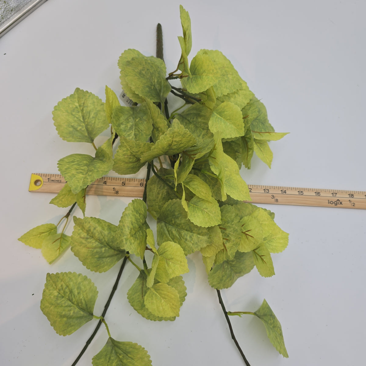 20&quot; Perilla-pbb148-lm