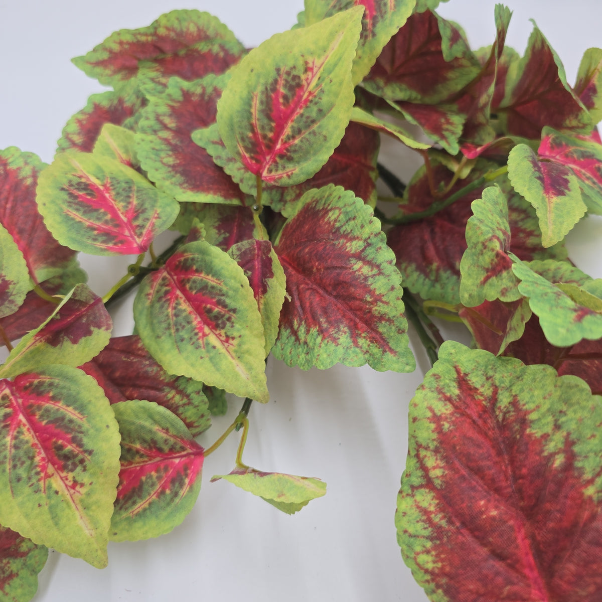 20&quot; Perilla-pbb145-bu/gr