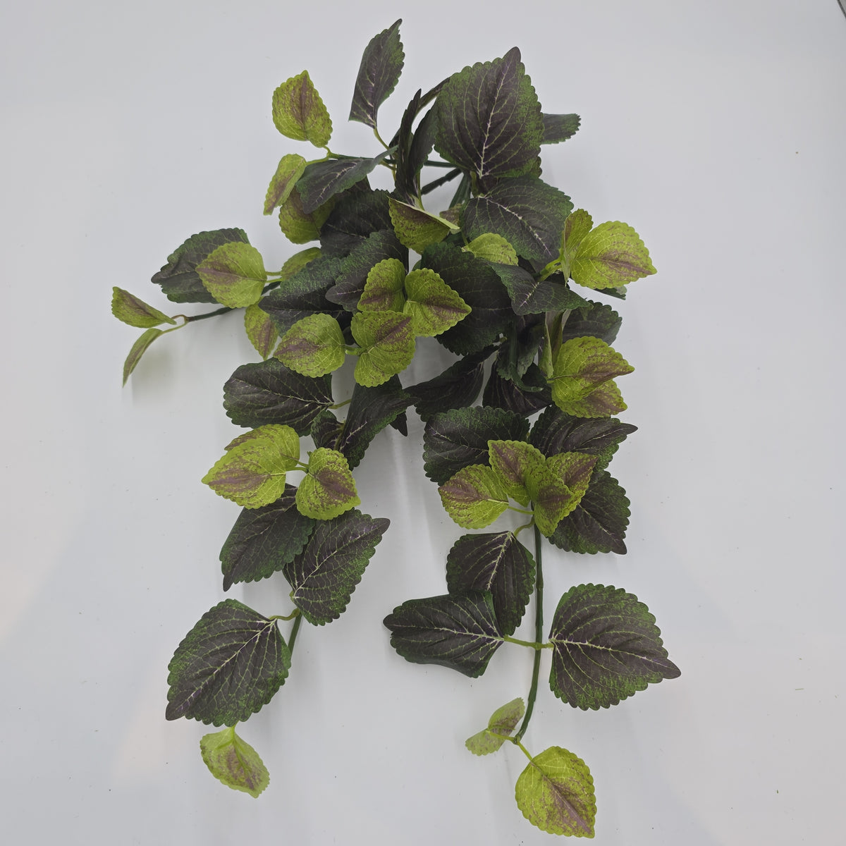 20&quot; Perilla-pbb149-gr/tt