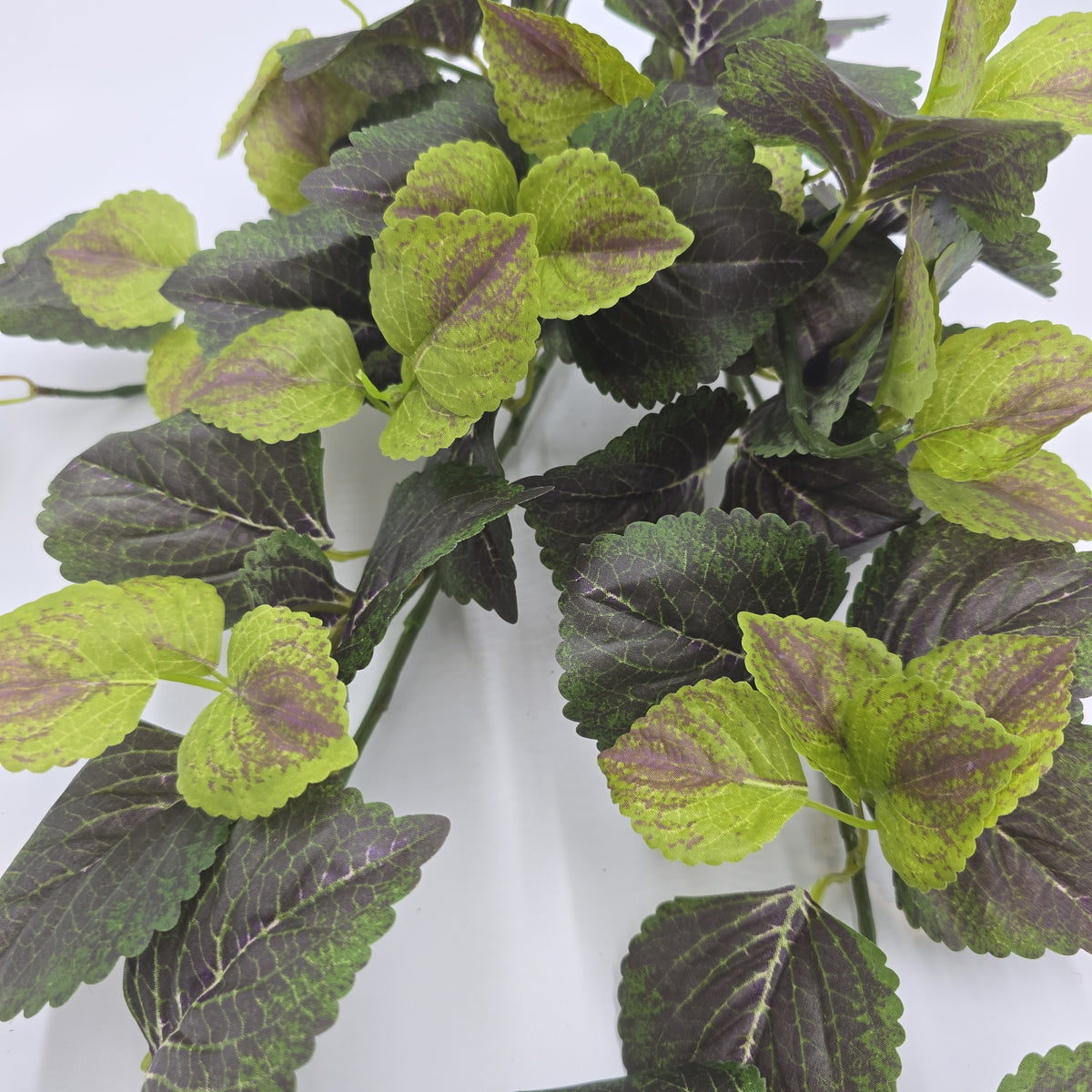 20&quot; Perilla-pbb149-gr/tt