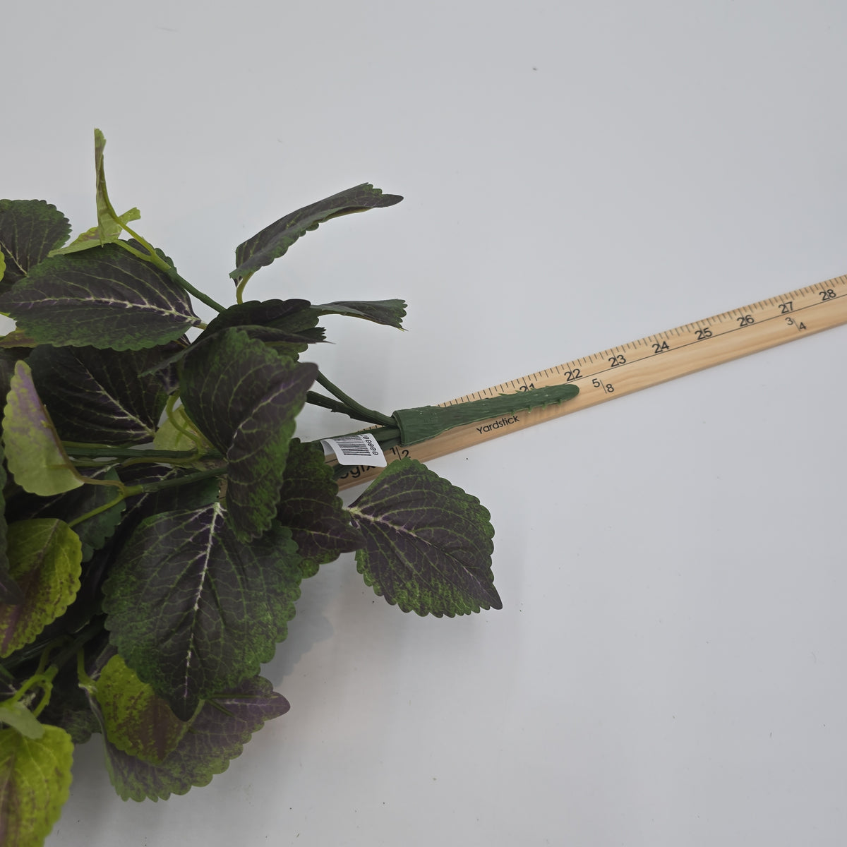 20&quot; Perilla-pbb149-gr/tt