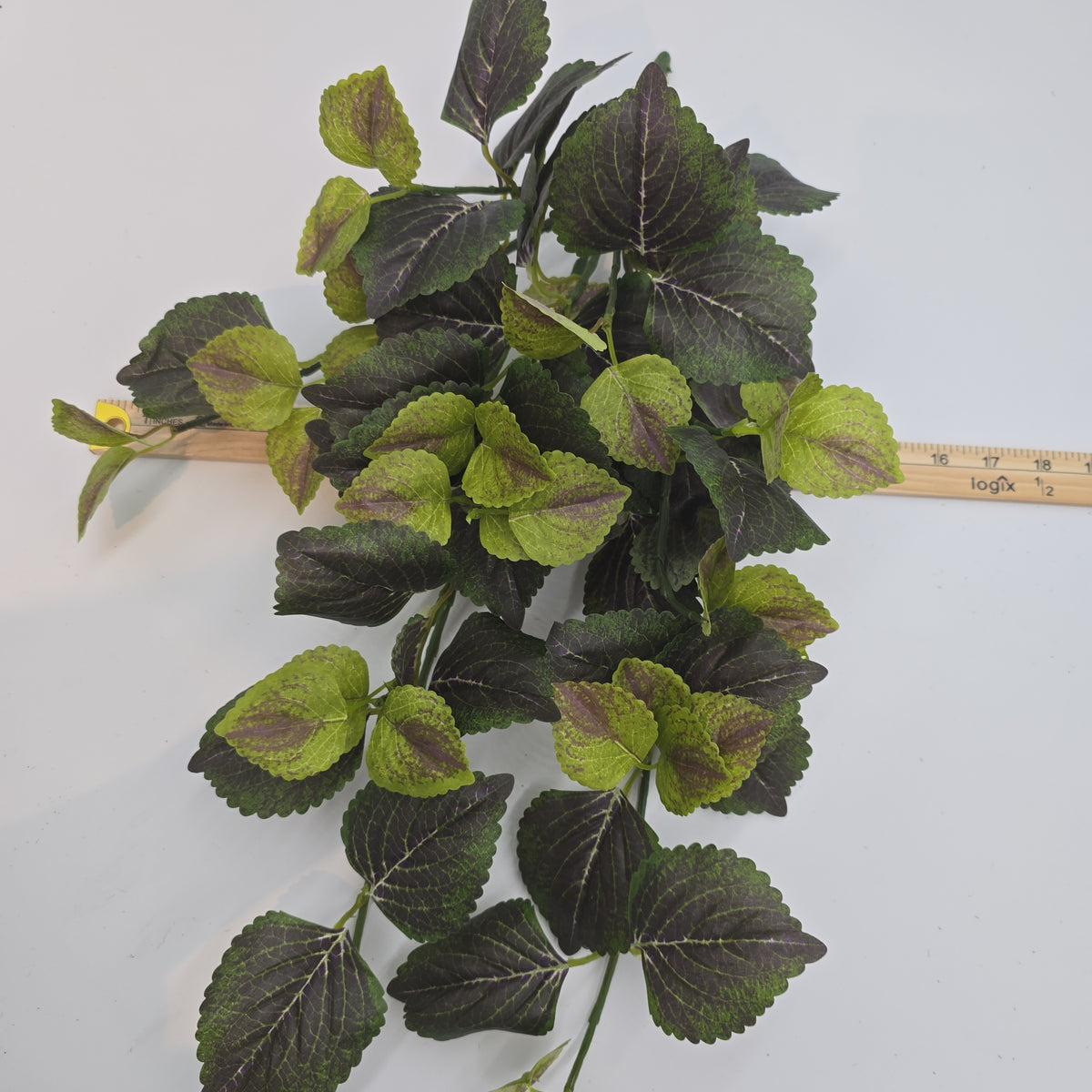 20&quot; Perilla-pbb149-gr/tt