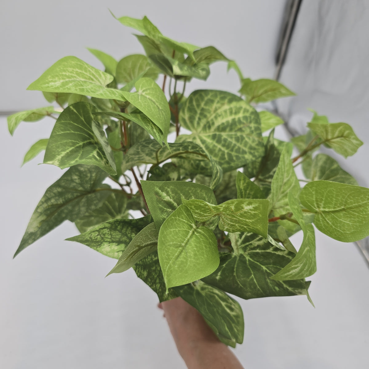 16&quot;POTATO LF--pbf264-gr/lt