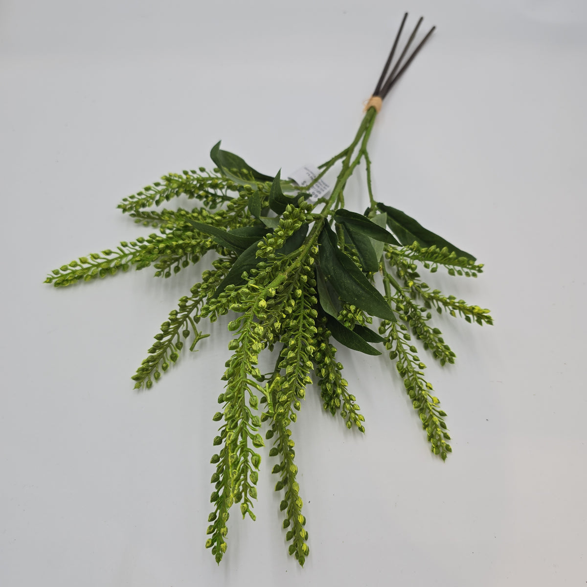 25&quot;PIERIS JAPONICA--#fsj991