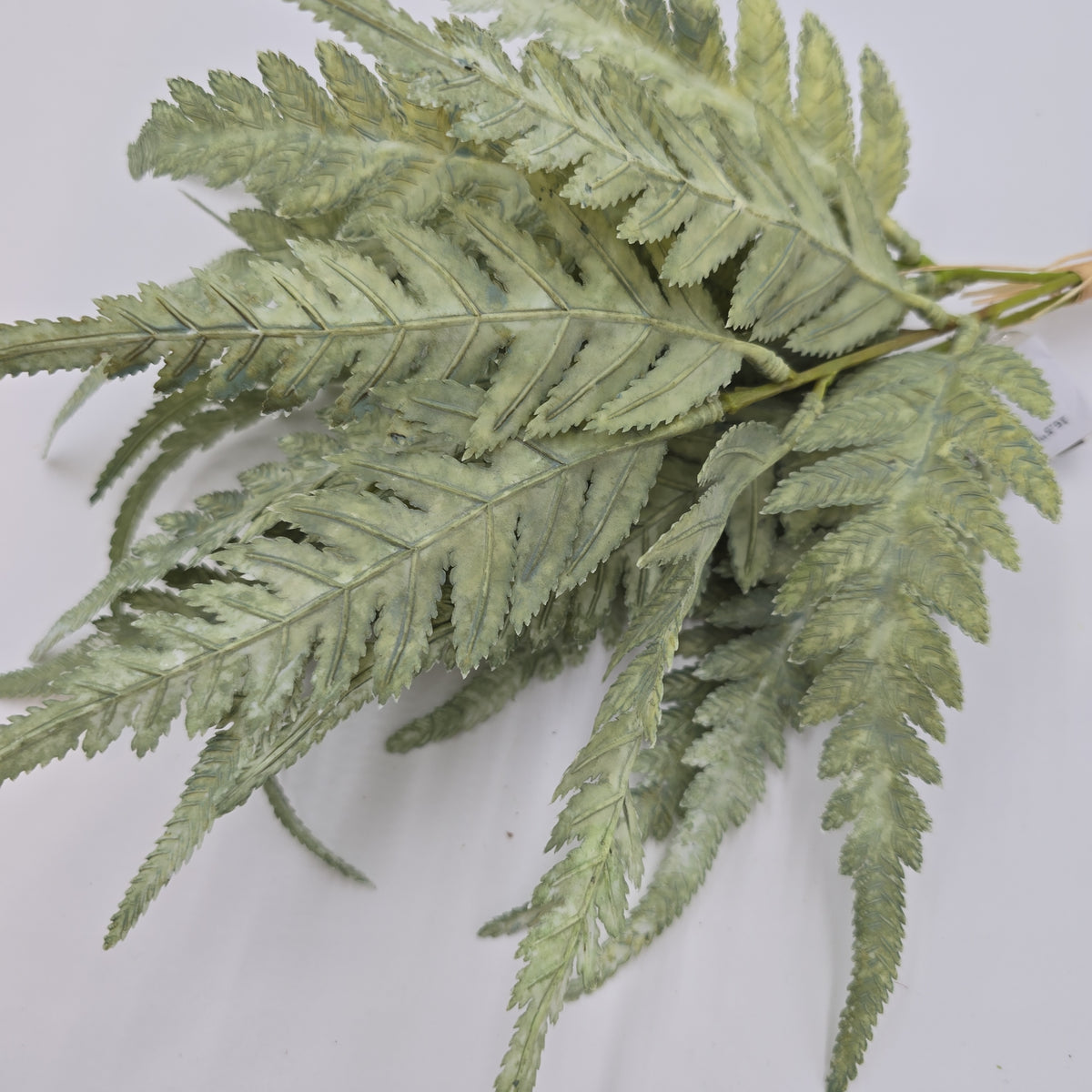 16.5&quot;FERN BUNDLE-#xab543-gr