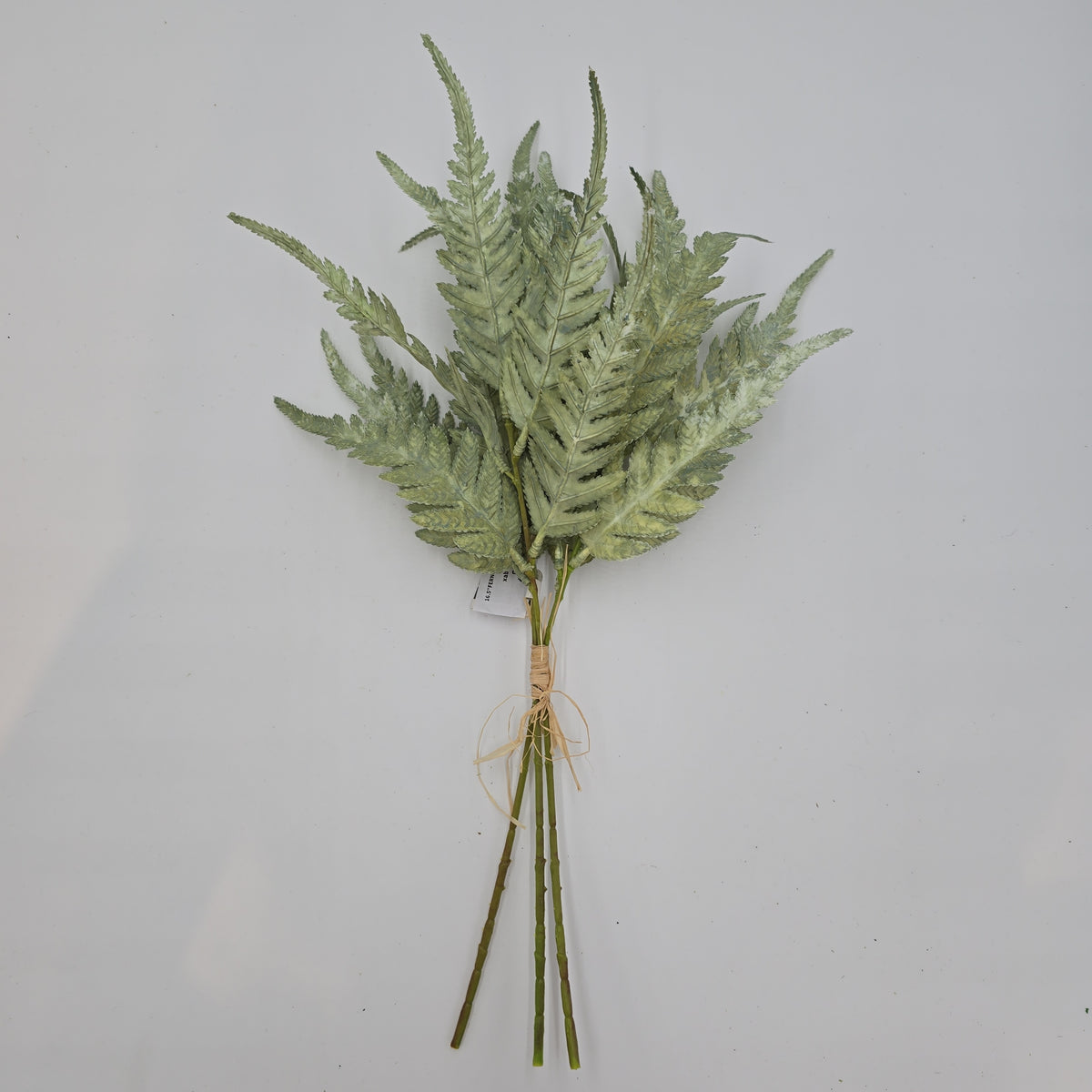 16.5&quot;FERN BUNDLE-#xab543-gr